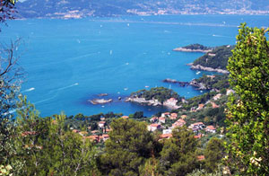 Lerici